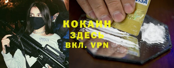 хмурый Новозыбков
