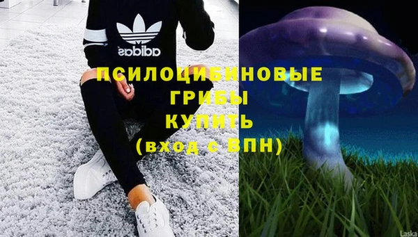 синтетический гашиш Зеленодольск