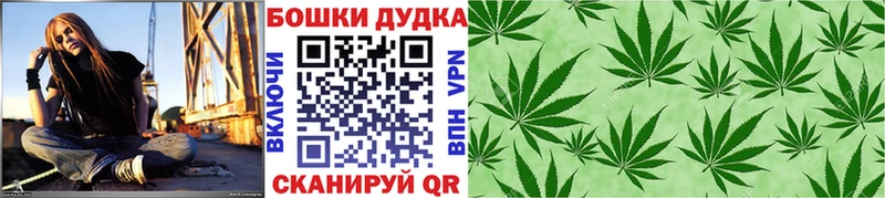 наркотики  Кадников  МАРИХУАНА SATIVA & INDICA 
